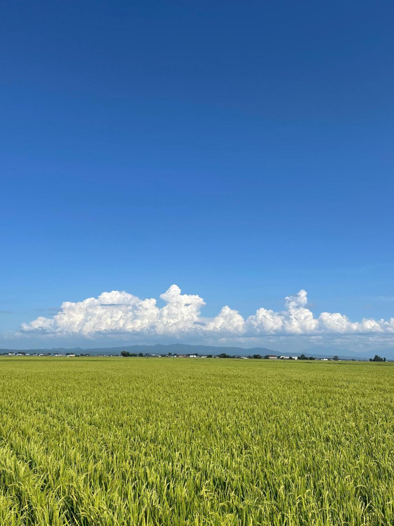 Tanonagano Yadokko - Vacation Stay 46285V Goshogawara Экстерьер фото