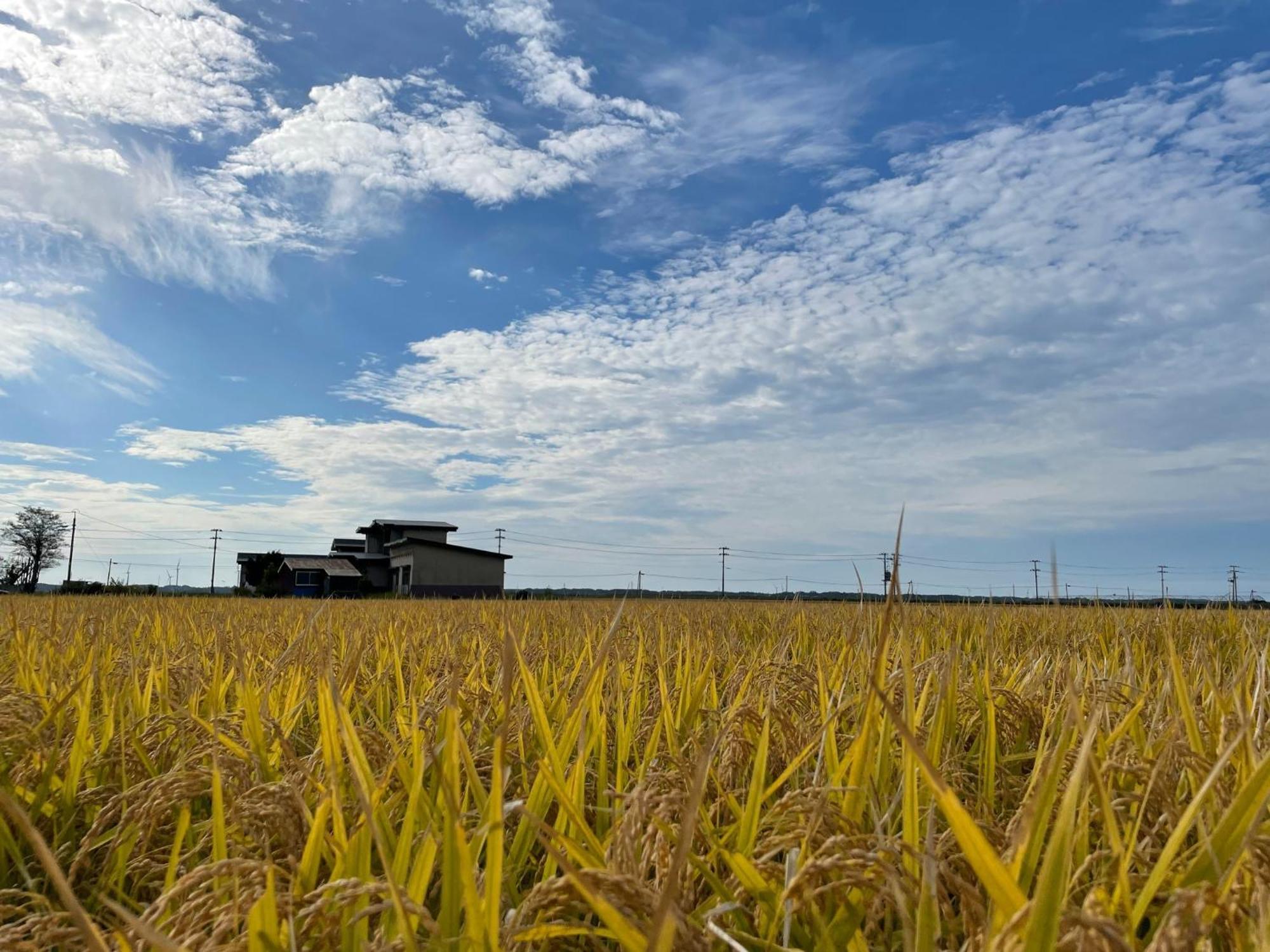 Tanonagano Yadokko - Vacation Stay 46285V Goshogawara Экстерьер фото